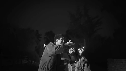 On Walking in Cinema
