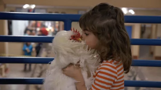 Watch Chicken People Trailer