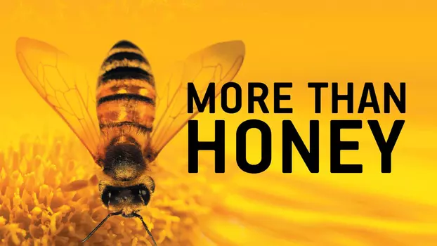 Watch More Than Honey Trailer