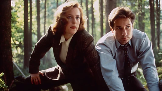 The X-Files