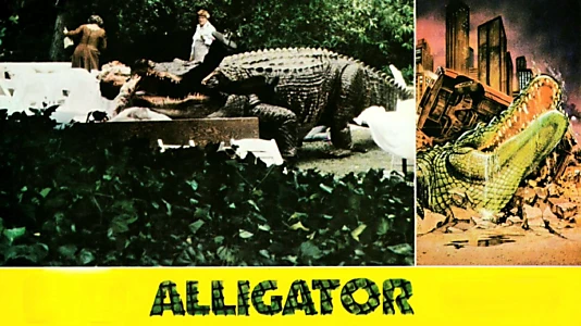 Alligator