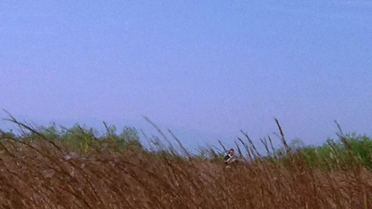 Lone Wolf and Cub: Sword of Vengeance