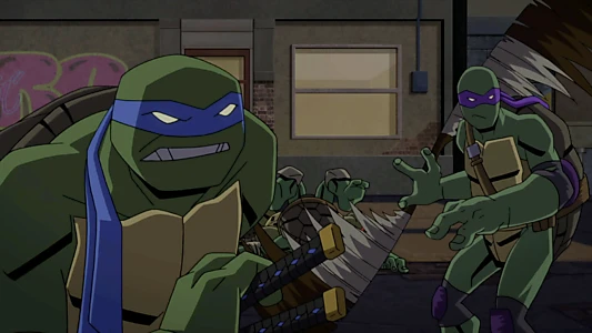 Batman vs Teenage Mutant Ninja Turtles