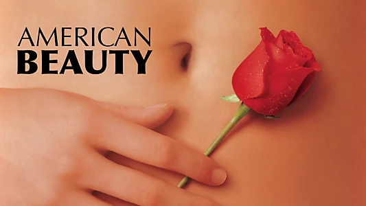 American Beauty