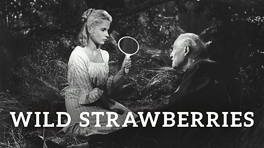 Wild Strawberries