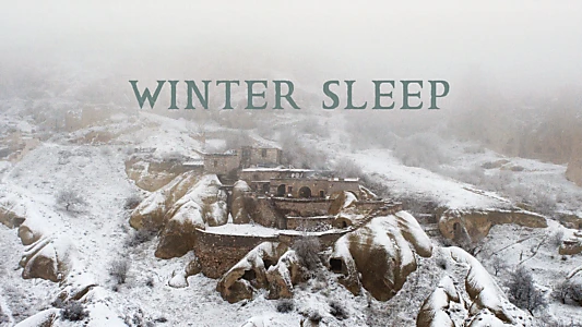 Winter Sleep