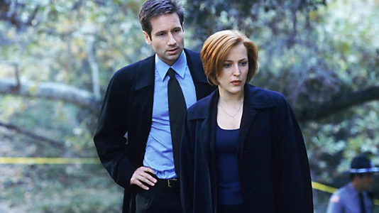 The X-Files