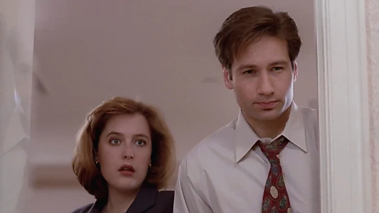 The X-Files