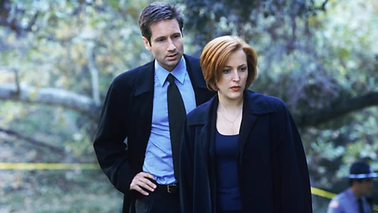 The X-Files