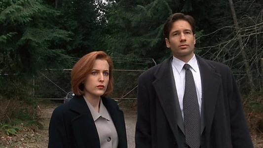 The X-Files