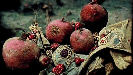 The Color of Pomegranates