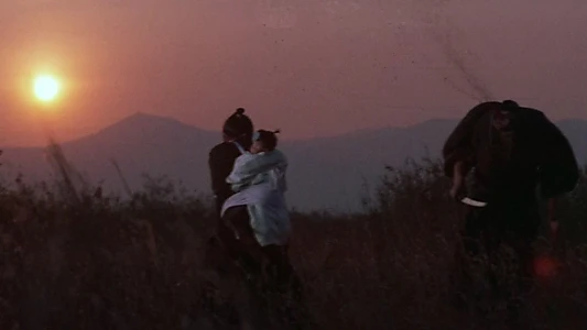 Lone Wolf and Cub: Sword of Vengeance