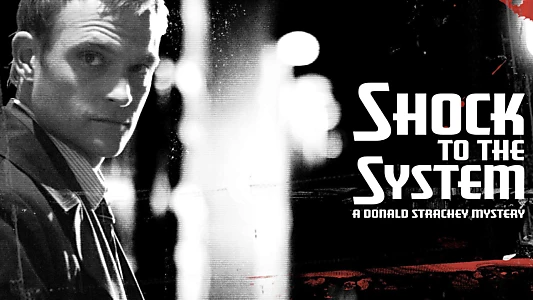 Shock to the System: A Donald Strachey Mystery