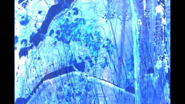 Cottage Movie