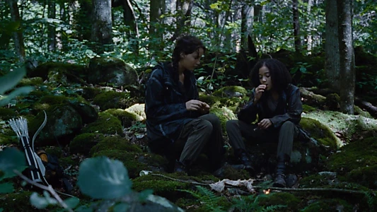 The Hunger Games