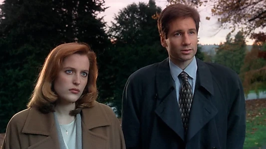 The X-Files