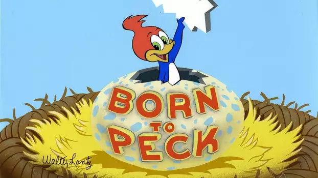 Born to Peck