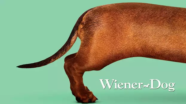 Watch Wiener-Dog Trailer