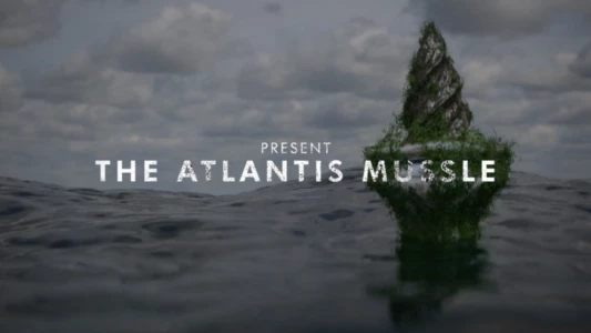 The Atlantis Mussels