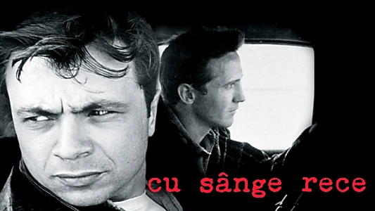 In Cold Blood