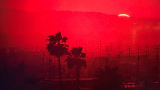 To Live and Die in L.A.