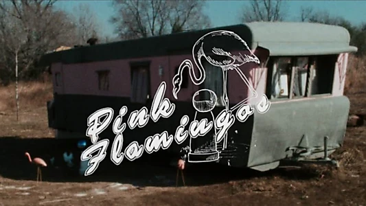 Pink Flamingos