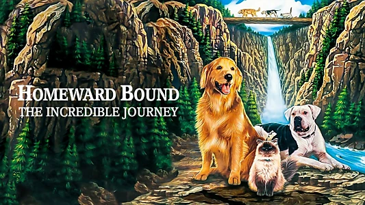 Homeward Bound: The Incredible Journey