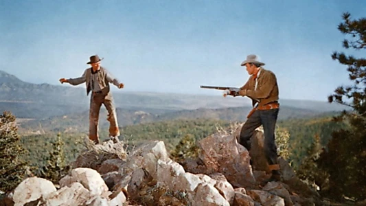 The Man from Laramie