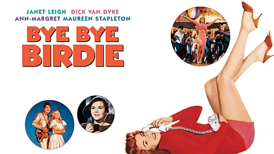 Bye Bye Birdie