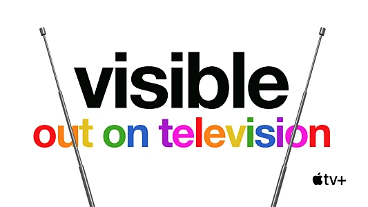 Visible: Out on Television