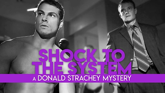 Shock to the System: A Donald Strachey Mystery