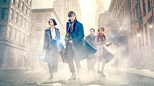 Fantastic Beasts and Where to Find Them