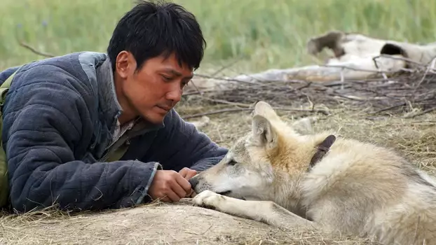 Watch Wolf Totem Trailer