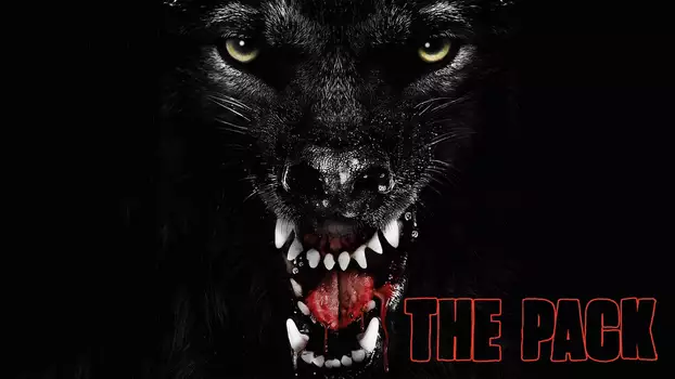 Watch The Pack Trailer