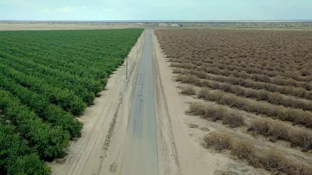 Watch Water & Power: A California Heist Trailer