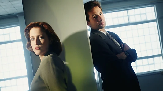 The X-Files