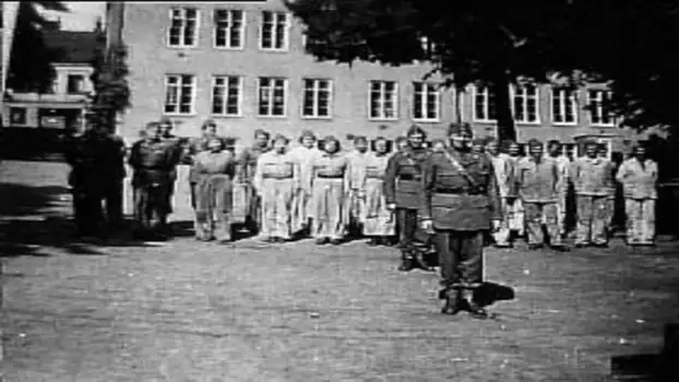 Förintelsens beska efterbörd - Röda Korset och svensk hjälpverksamhet 1945-1947