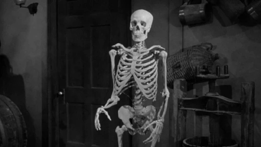 Watch The Lost Skeleton of Cadavra Trailer