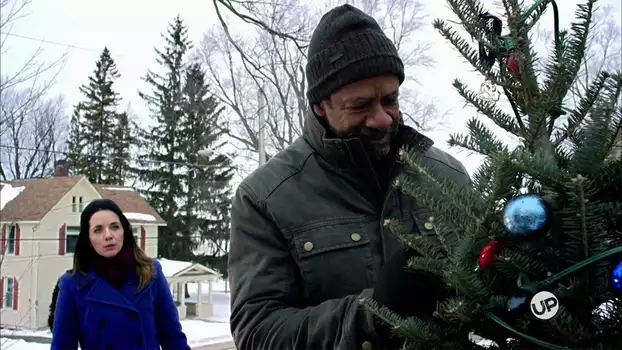 Watch The Rooftop Christmas Tree Trailer