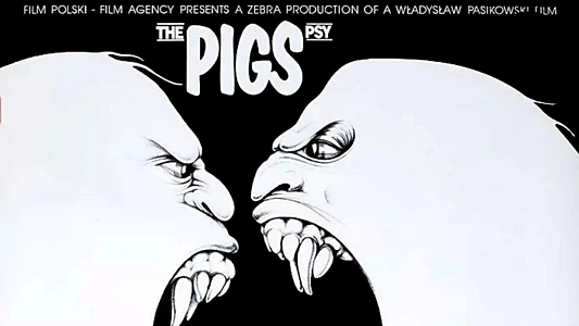 Pigs