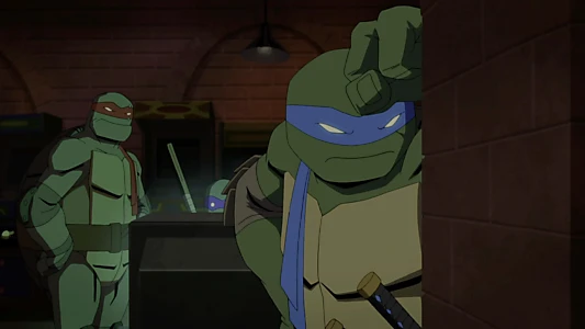 Batman vs Teenage Mutant Ninja Turtles