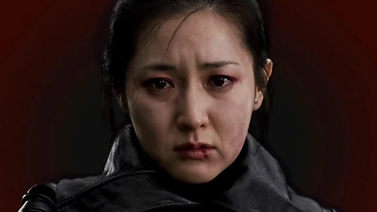 Lady Vengeance