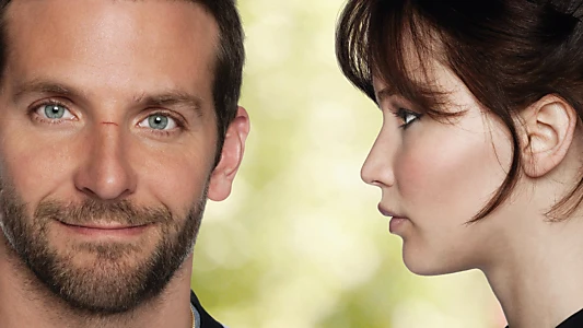 Silver Linings Playbook