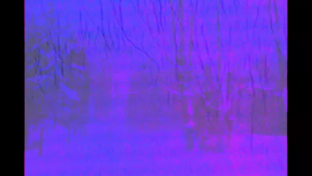 Cottage Movie