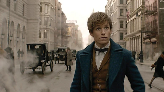 Fantastic Beasts and Where to Find Them