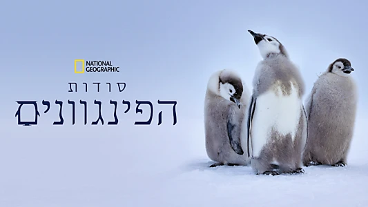Secrets of the Penguins