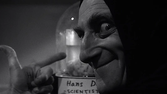 Young Frankenstein