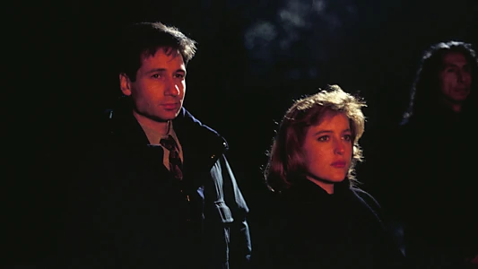 The X-Files