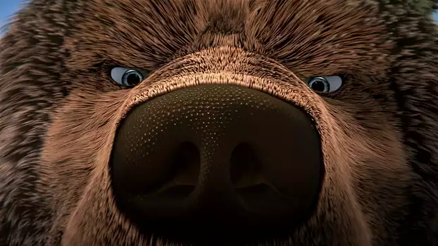 Watch The Great Bear Trailer