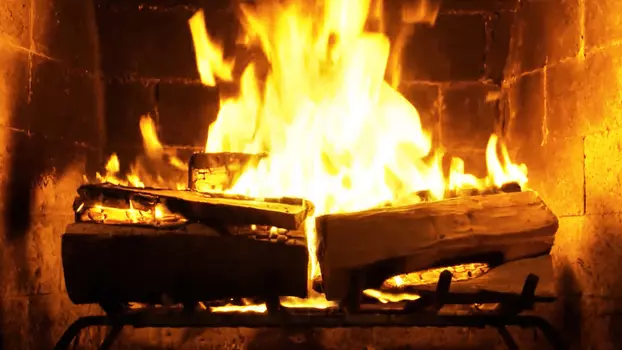 Fireplace 4K: Crackling Birchwood from Fireplace for Your Home